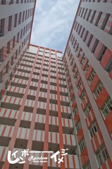 DSC_7355_缩小大小.jpg