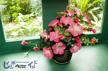 DSC_7480_缩小大小.jpg