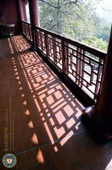 DSC_9914_缩小大小.jpg