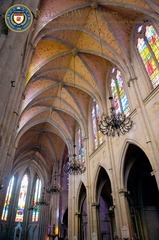 DSC_0017_缩小大小.jpg