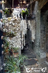 DSC_0103_缩小大小.jpg