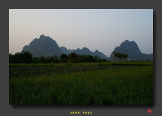 2010春湾54