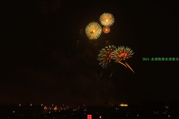 2011春节03