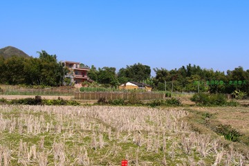 2014春节02