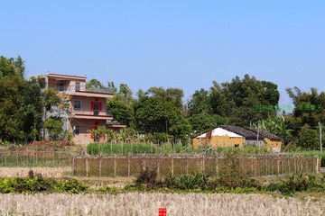 2014春节03