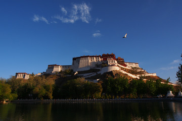 P5093951