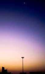 IMG_7784-1