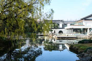 ZWY-2