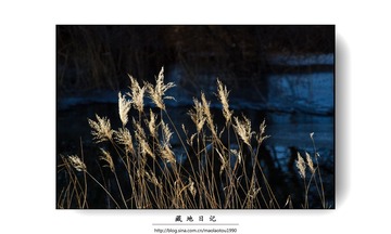 nEO_IMG_IMG_7176.jpg