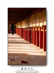 nEO_IMG_IMG_7453.jpg