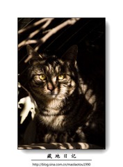 nEO_IMG_IMG_7936.jpg