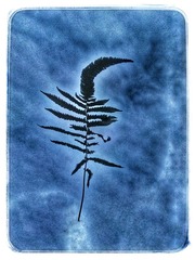 IMG_20160211_150650-01-01