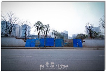 背后