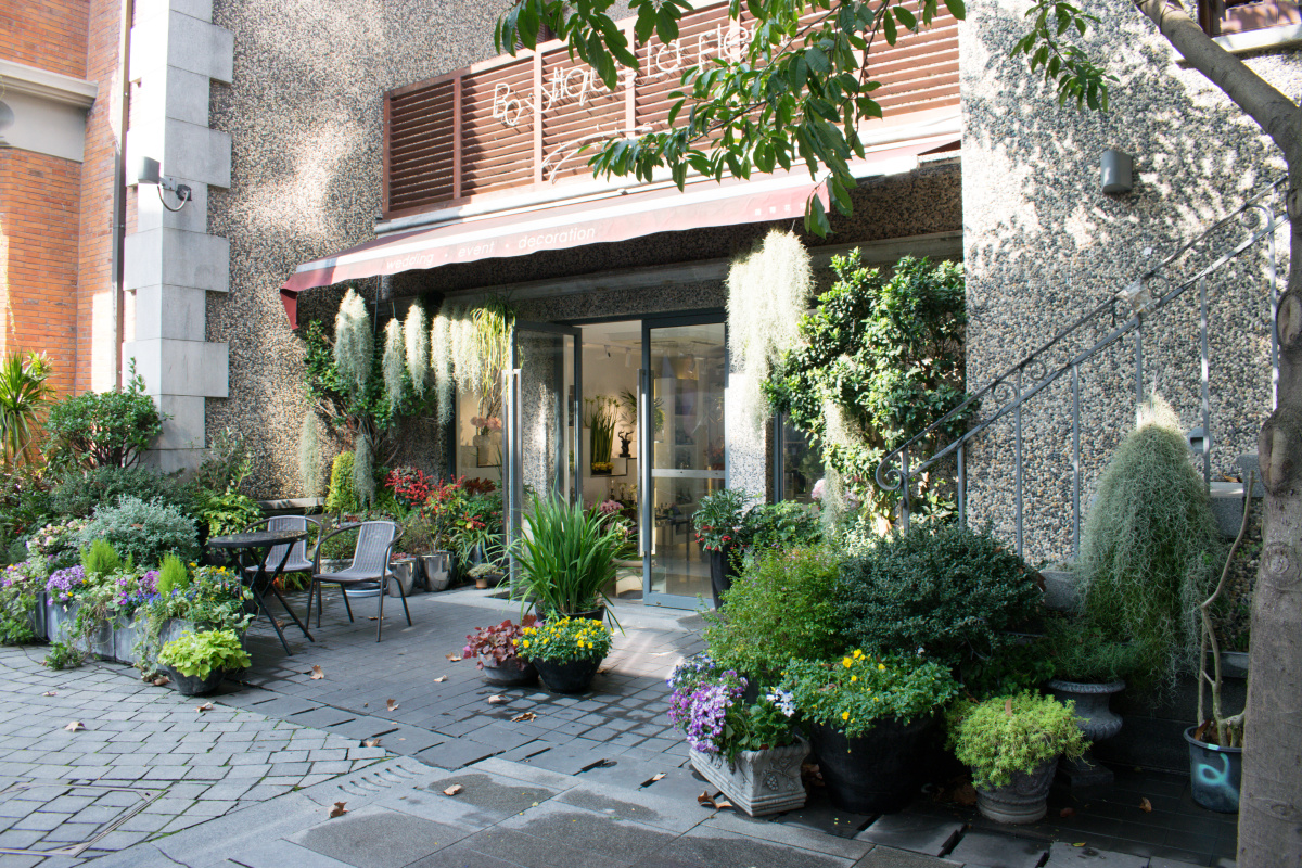 上海思南路风景