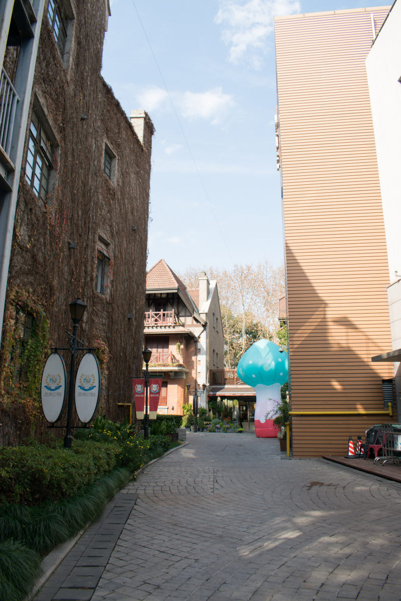 上海思南路风景