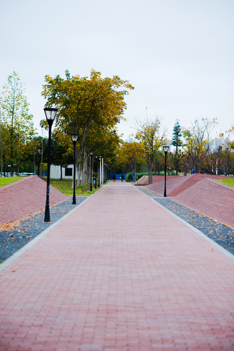 上海前滩休闲公园