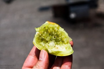 DaLi - DayOne-4.jpg