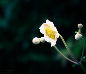 DaLi - DayTwo-5.jpg