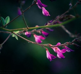 DaLi - DayTwo-7.jpg