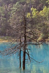 LiJiang - DayFour-17.jpg