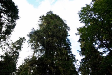 Shangrila - DayTwo-25.jpg