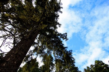Shangrila - DayTwo-27.jpg