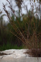 IMG_4152.JPG