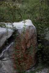 IMG_4166.JPG