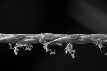 0A9A2259