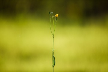 0A9A5885