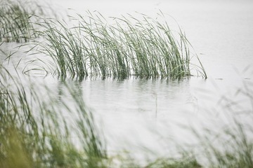 0A9A6715