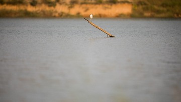 0A9A8469