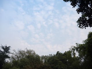 P1020209-1