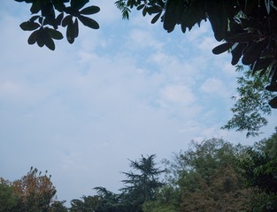 P1020210-1