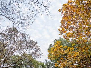 P1020211-1