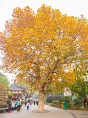 P1020213-1