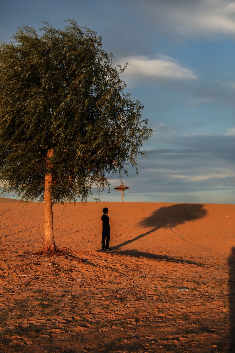 一棵树一个人不一样的感觉