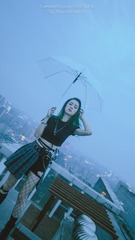 阳台 杨 (16 - 34)