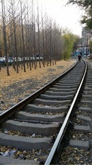 273469
