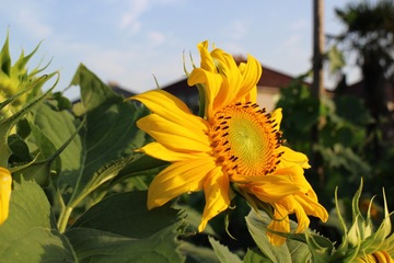 150735