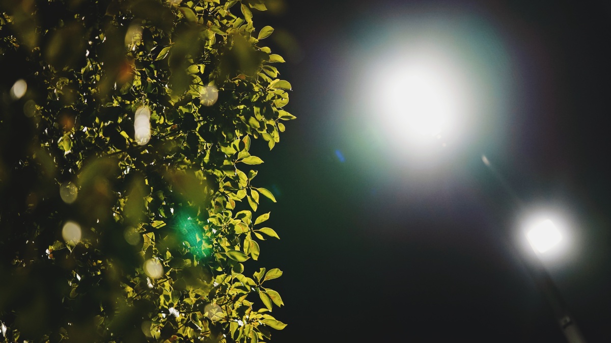 凌晨的城市如此安静