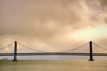 1629621