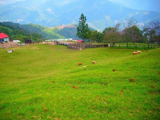20140321083410_4799