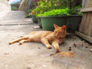 20140321083607_3100