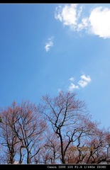 安静的天空