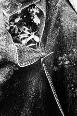 R0043462-8