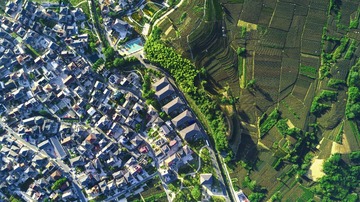 龙坞