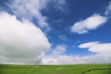 153A9013