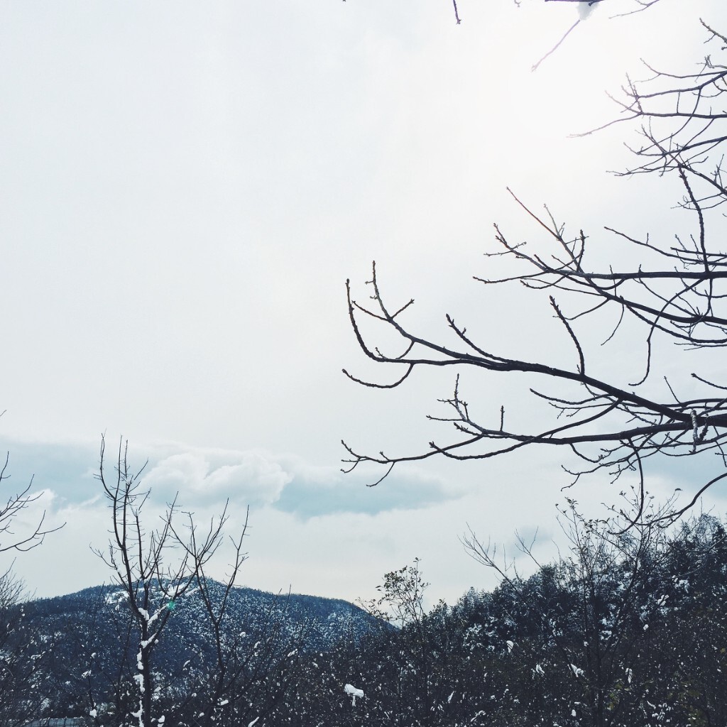 “你喜欢什么季节”  “冬季”  “为什么”  “会下雪”。