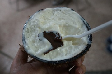 coconut-ice-cream-havana_11625148094_o